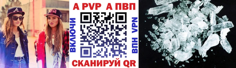Альфа ПВП СК КРИС  Стародуб 