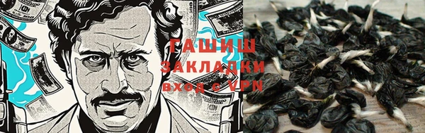 молекула духа Алексеевка